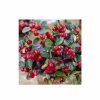 All Ornamental Shrubs * | Gaultheria Procumbens Big Berry ('Gaubi') (Pbr) | 9Cm Pot