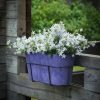 Campanula Plants * | Campanula Adansa White Compact ('Psw 09102') (Pbr) | 10.5Cm Pot